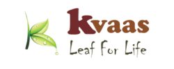 Kvaas
